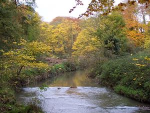 Photo 14- click for photo gallery